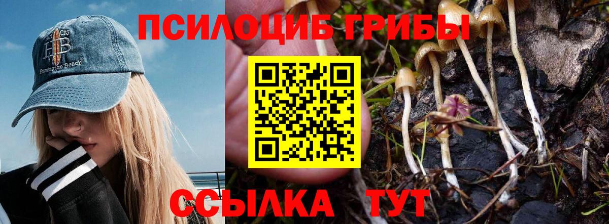 Псилоцибиновые грибы Magic Shrooms Рославль