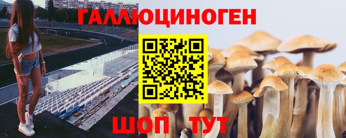 Псилоцибиновые грибы мухоморы  Вход с VPN  Рославль 